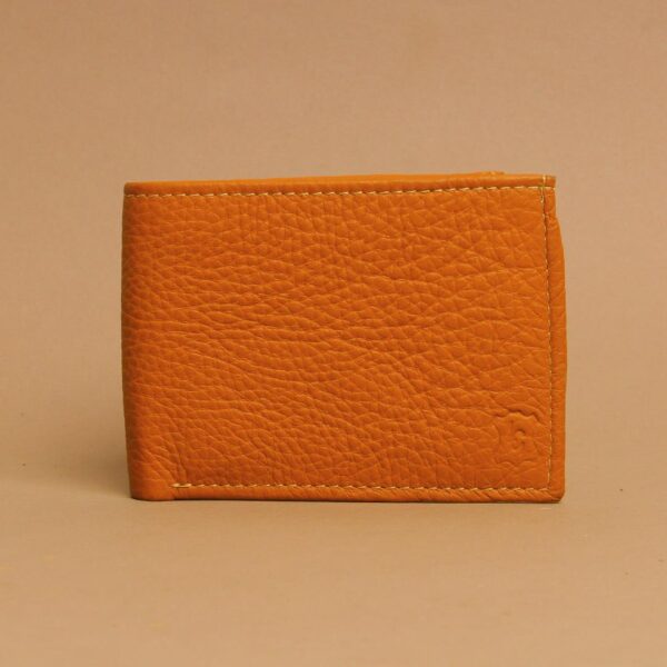 Sleek Wallet